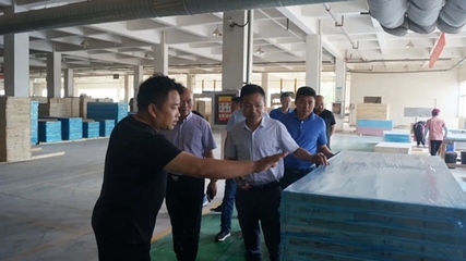 安徽省工商聯與建材商會領導蒞臨林邦門業考察指導，共促安徽建材行業高質量發展