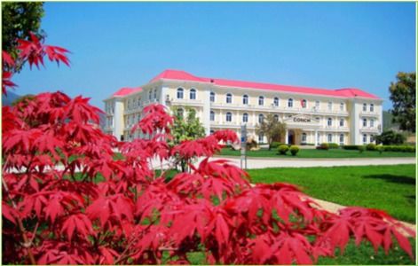 做綠色發(fā)展的先行者——安徽銅陵海螺水泥發(fā)展紀(jì)實(shí)